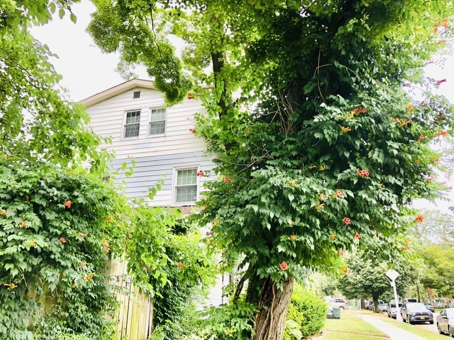 e8FEJ2ZFKSgqmM18RqQ2UnmIv68