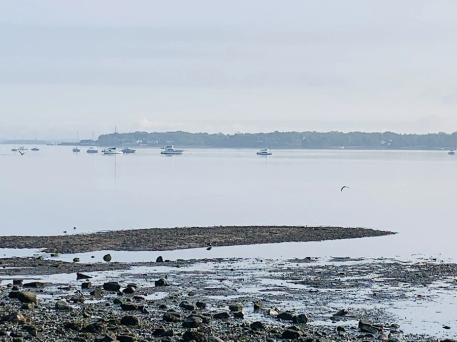 IMG_4367.jpg?type=w966