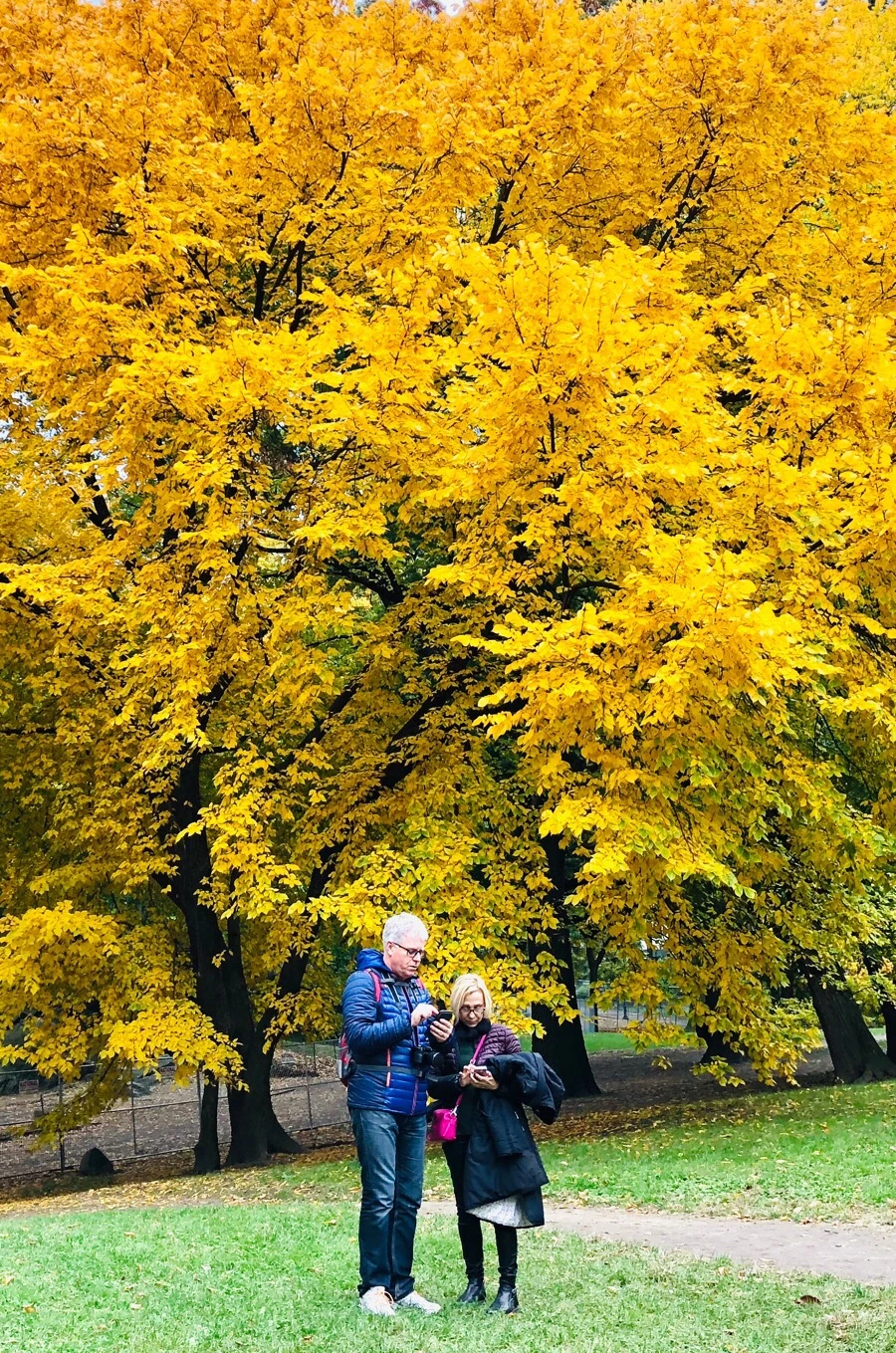 IMG_7274.jpg?type=w966