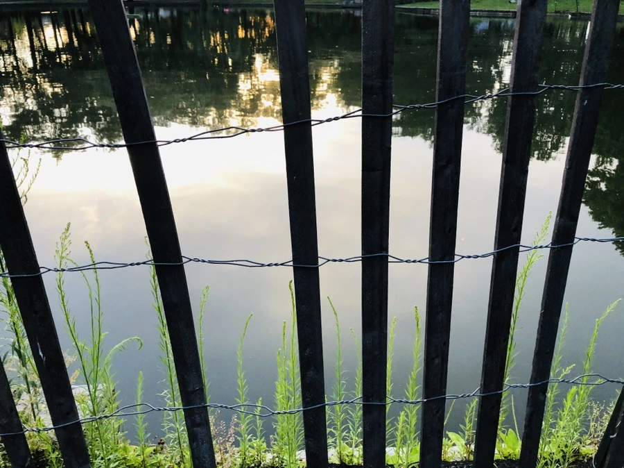 IMG_4288.jpg?type=w966