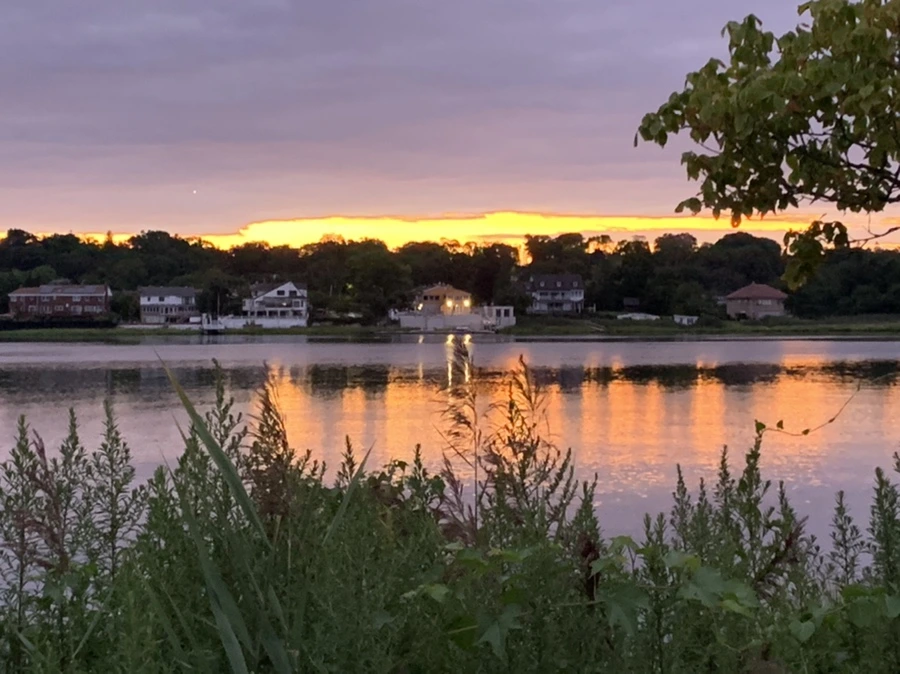 IMG_2263.jpg?type=w966