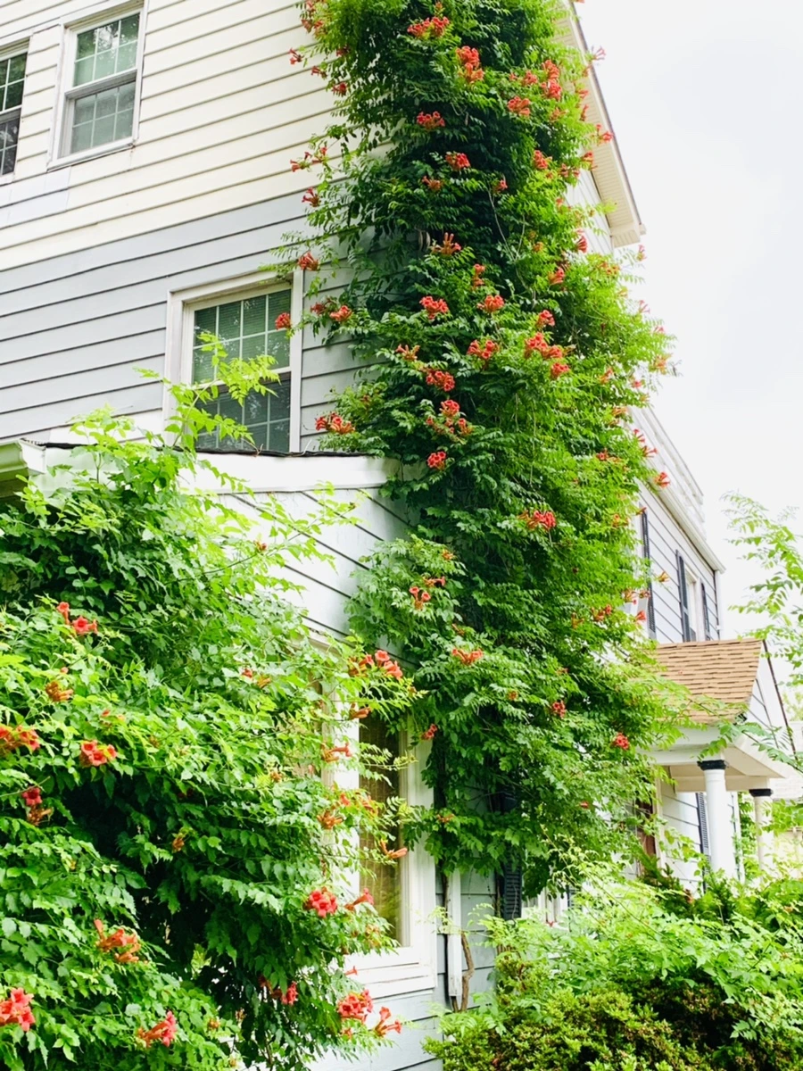 IMG_7436.jpg?type=w966