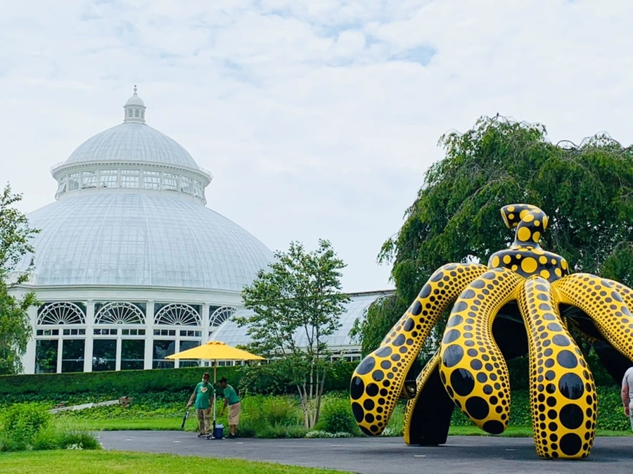 IMG_2609.jpg?type=w966