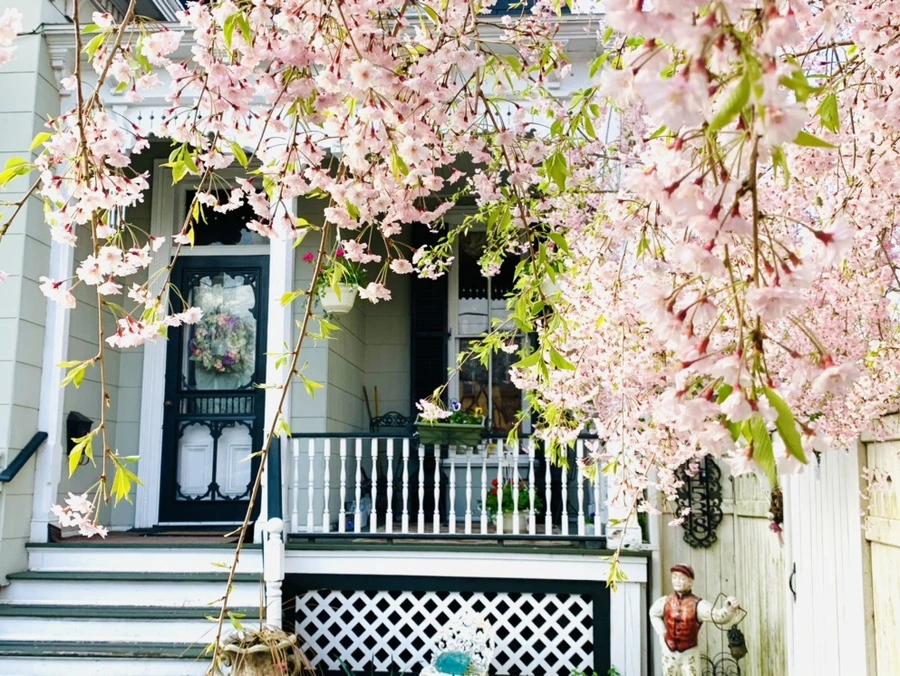 IMG_3760.jpg?type=w966