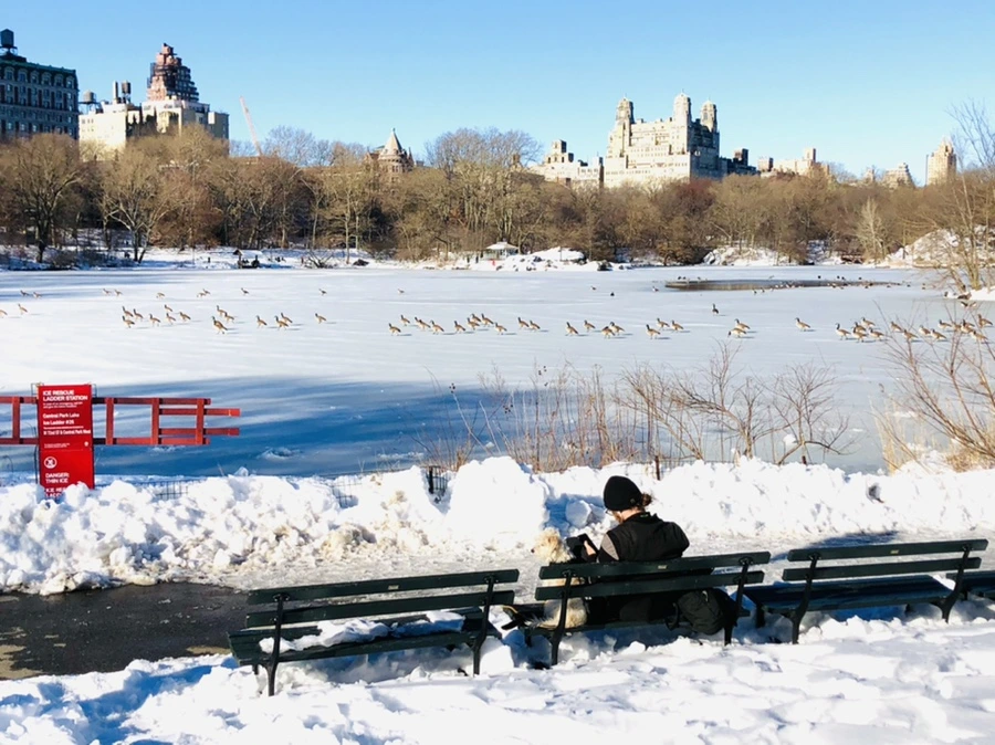 IMG_9869.jpg?type=w966