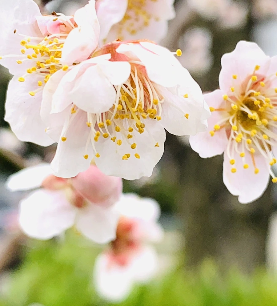 IMG_1687.jpg?type=w966