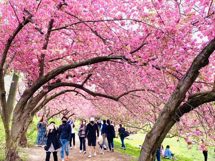 IMG_5201.jpg?type=w966