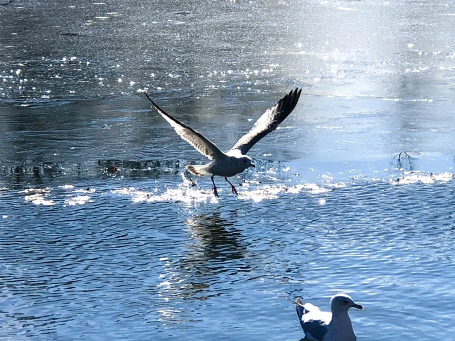 IMG_6880.jpg?type=w966