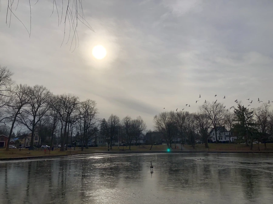 IMG_1987.jpg?type=w966