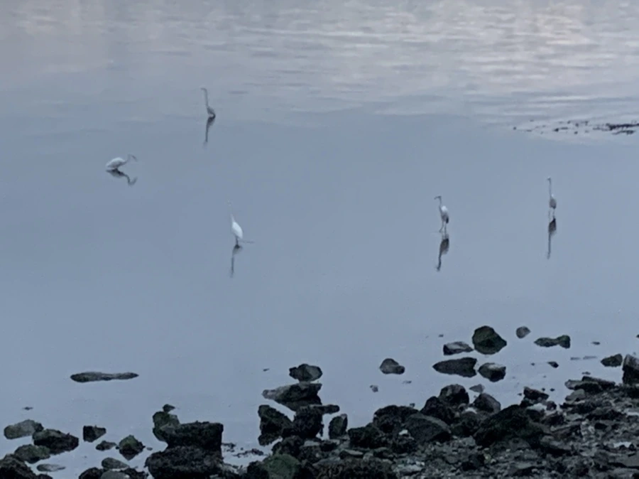 IMG_9628.jpg?type=w966