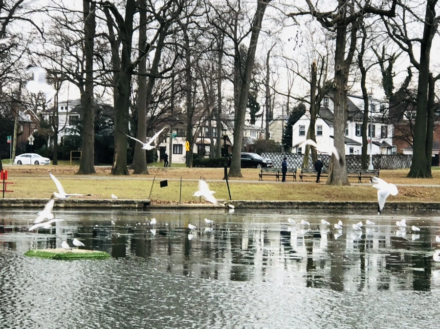 IMG_3295.jpg?type=w966