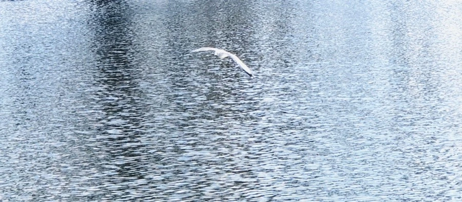 b1CEp7ml7-qPNr0xq35r2A4MAog