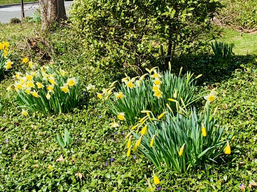 IMG_4317.jpg?type=w966