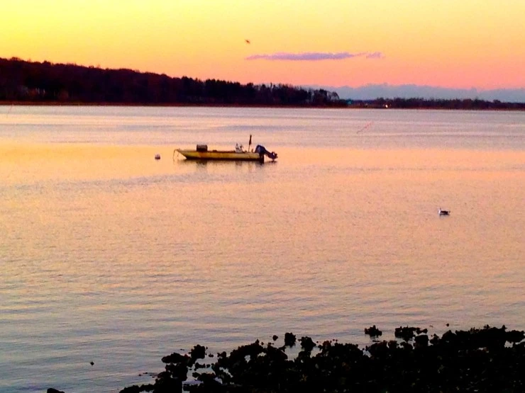 IMG_4428.JPG?type=w1