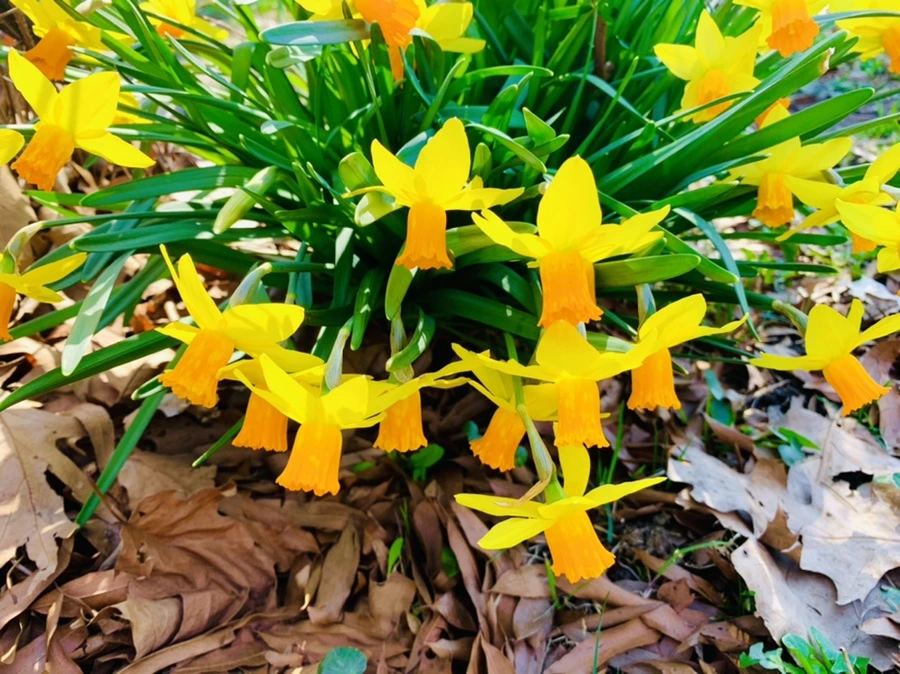 IMG_5819.jpg?type=w966