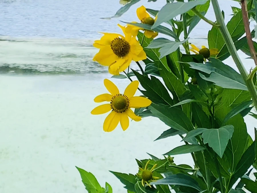 IMG_7607.jpg?type=w966