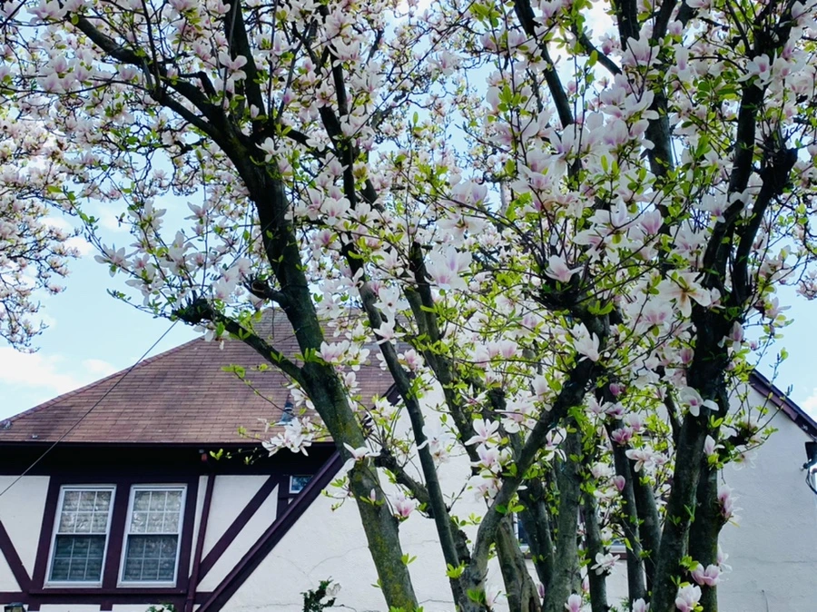 IMG_3873.jpg?type=w966