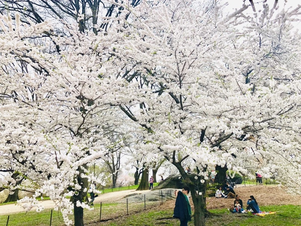 IMG_2956.jpg?type=w966