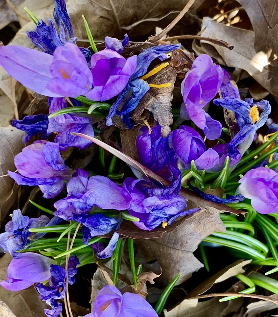 IMG_1431.jpg?type=w966