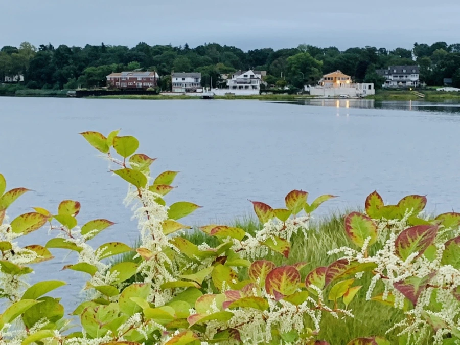 IMG_6158.jpg?type=w966