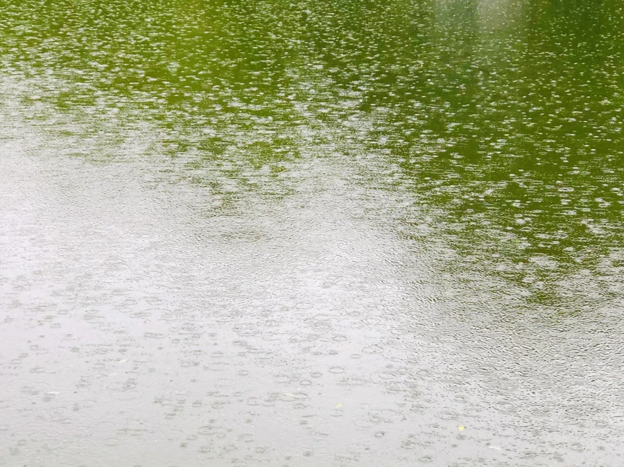 IMG_3250.jpg?type=w966