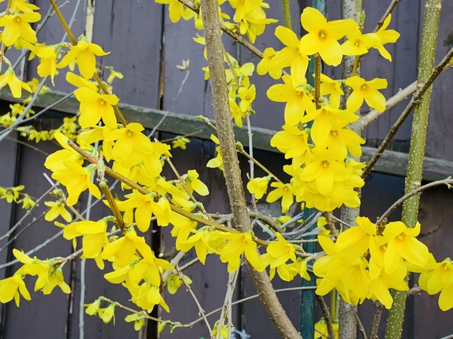 IMG_7545.jpg?type=w966