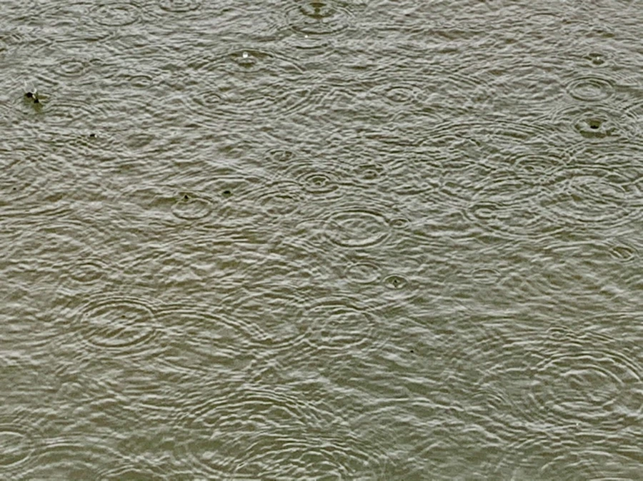 IMG_2055.jpg?type=w966