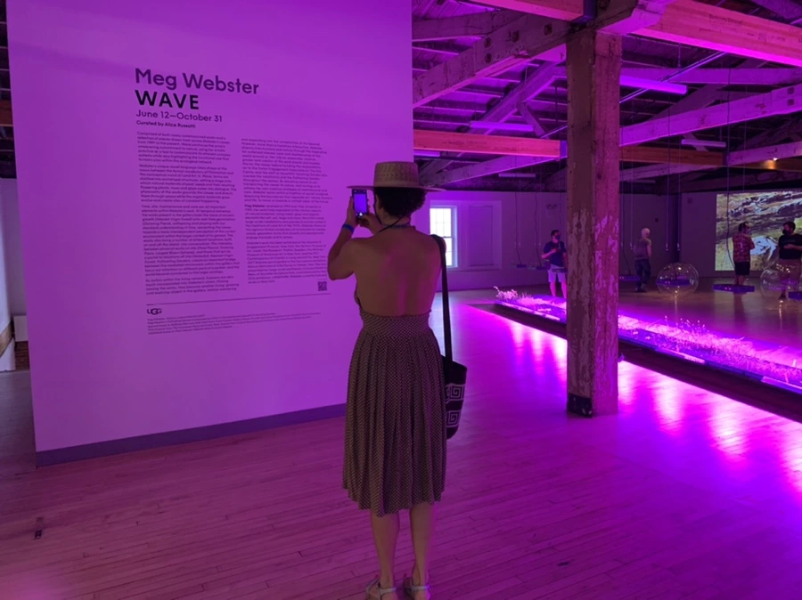 IMG_6816.jpg?type=w966