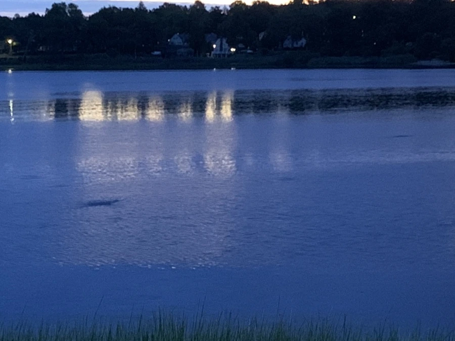 IMG_2222.jpg?type=w966