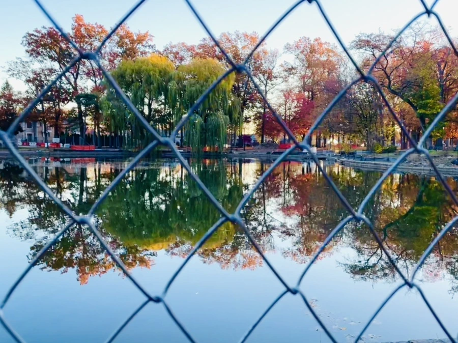 IMG_4081.jpg?type=w966