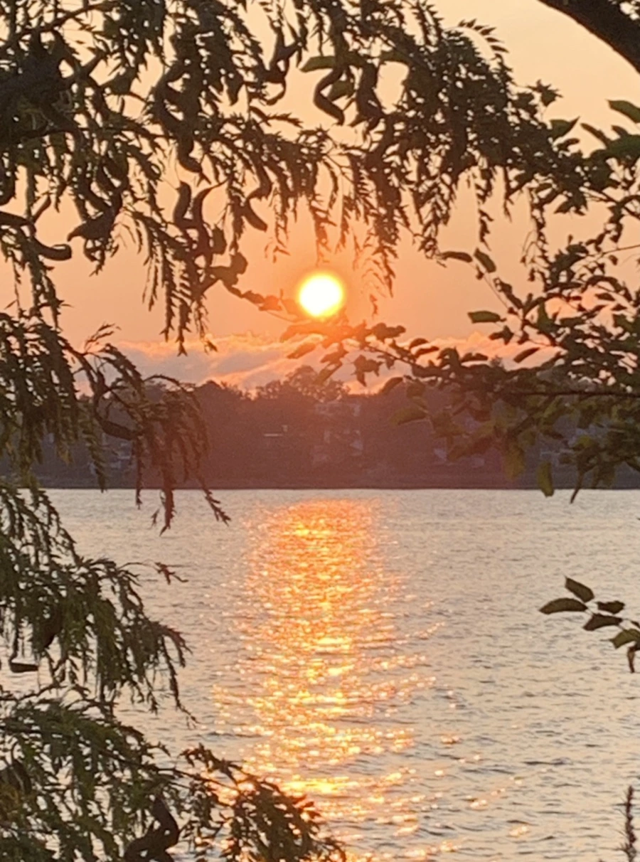 IMG_5502.jpg?type=w966