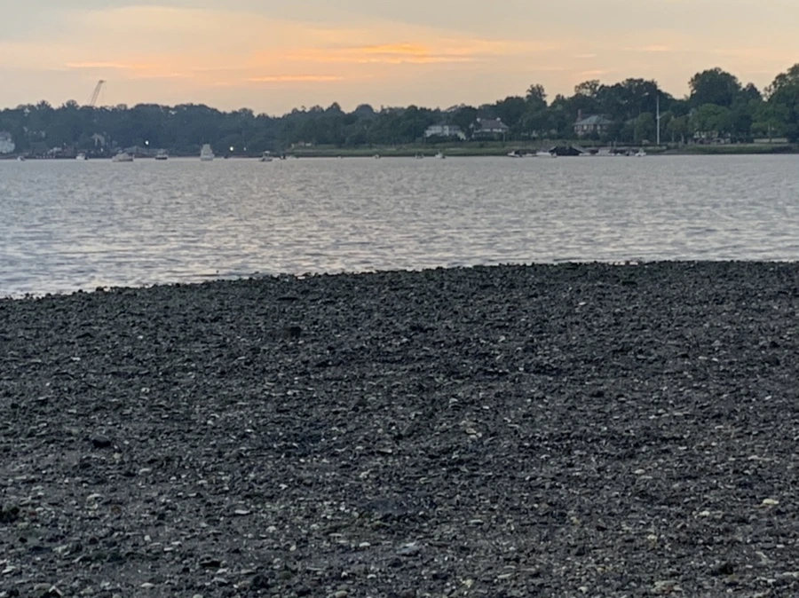 IMG_8204.jpg?type=w966