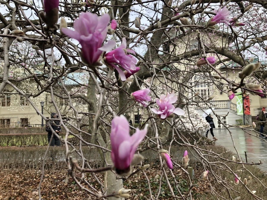 IMG_2388.jpg?type=w966