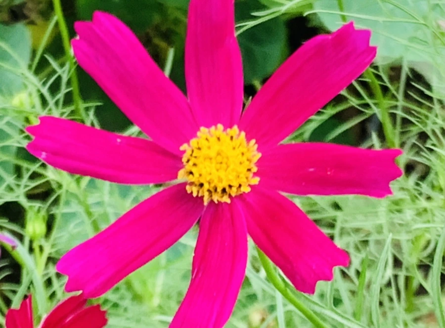 IMG_5985.jpg?type=w966