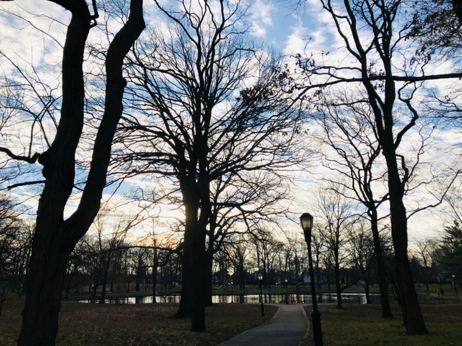 IMG_0161.jpg?type=w966