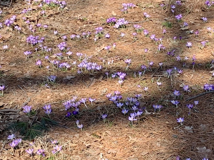 IMG_9772.jpg?type=w966