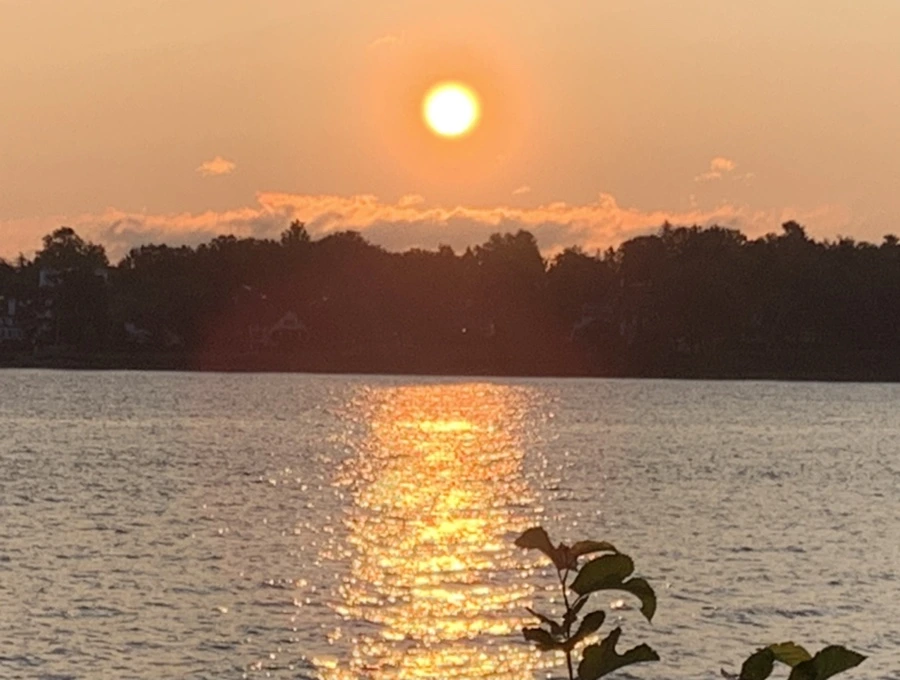 IMG_5519.jpg?type=w966