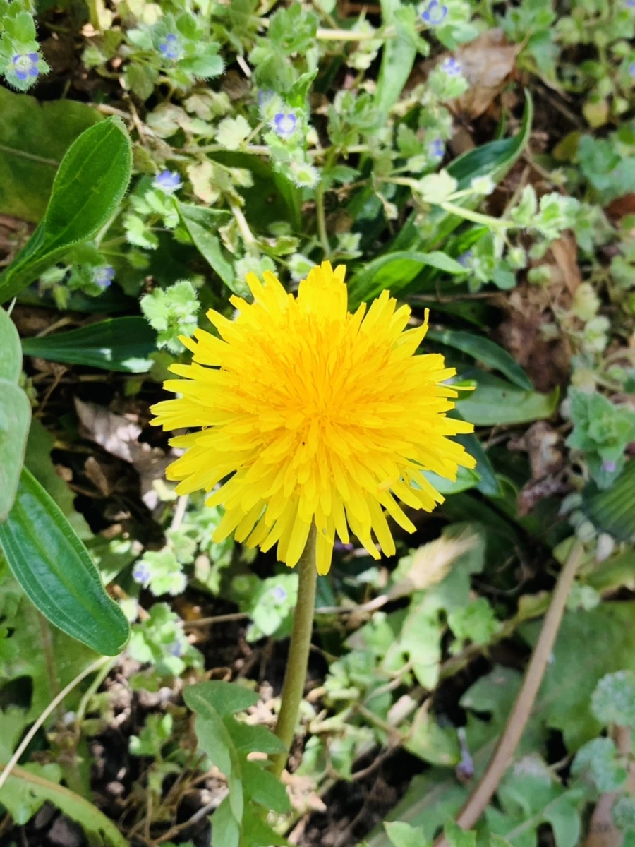 IMG_4533.jpg?type=w966