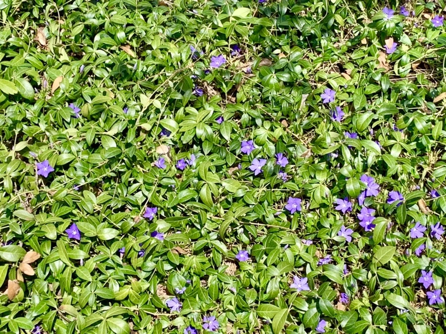 IMG_4315.jpg?type=w966