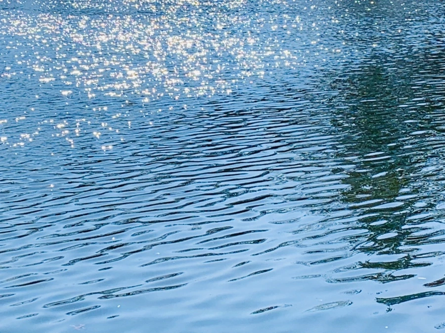 IMG_0029.jpg?type=w966