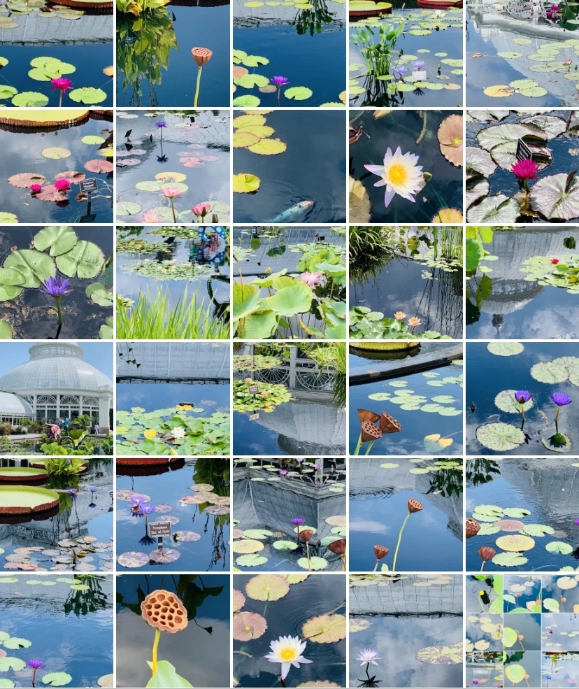 IMG_1176.jpg?type=w966