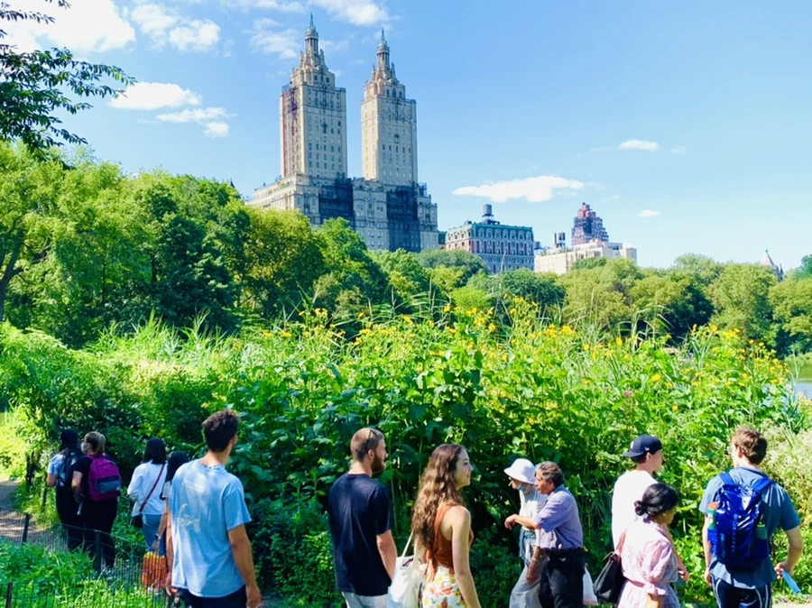 IMG_4447.jpg?type=w966