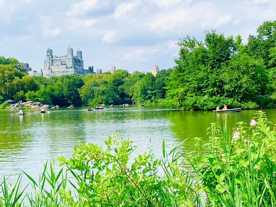 IMG_0663.jpg?type=w966