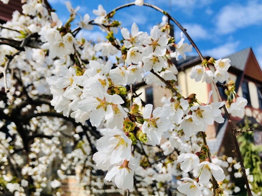 IMG_6591.jpg?type=w966