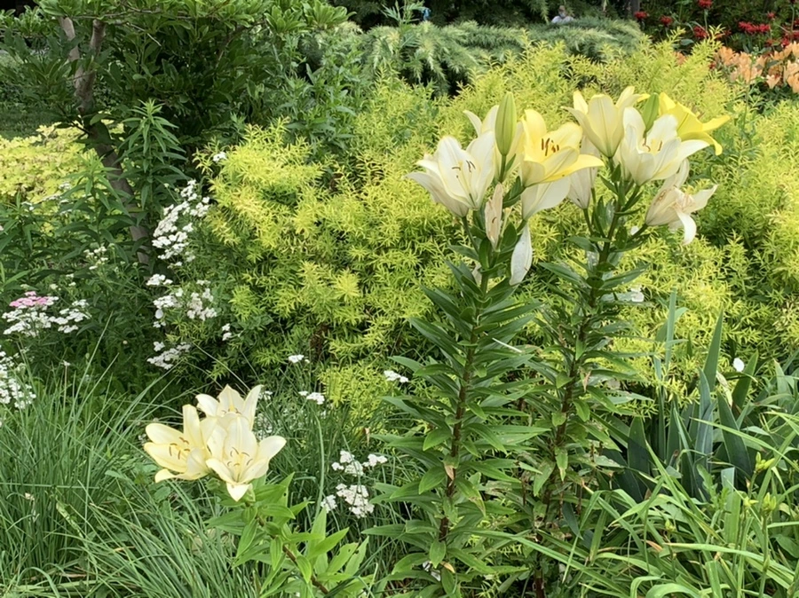 IMG_7634.jpg?type=w966