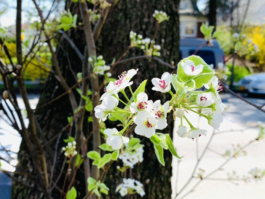 IMG_8593.jpg?type=w966