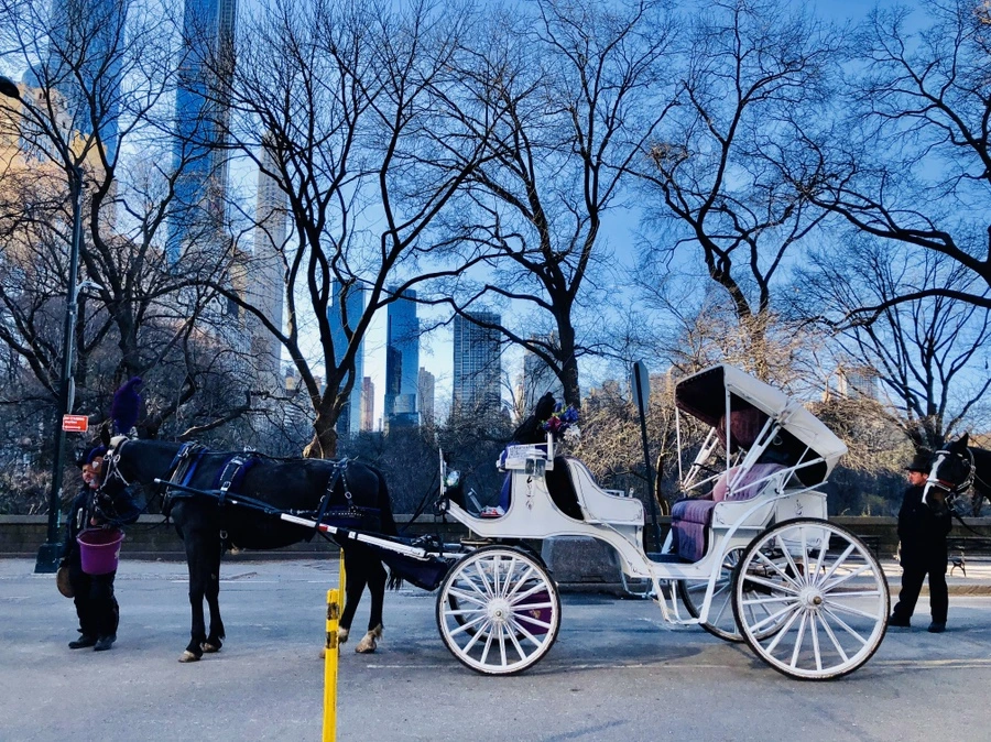 IMG_6379.jpg?type=w966