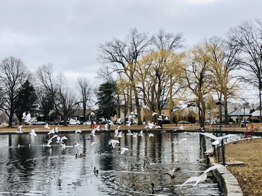 IMG_3470.jpg?type=w966