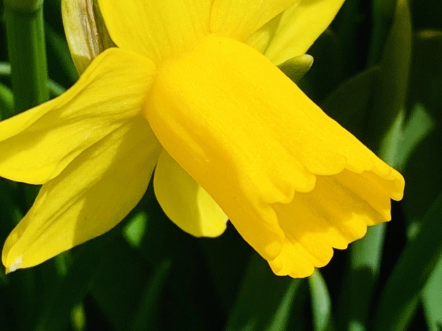 IMG_3418.jpg?type=w966