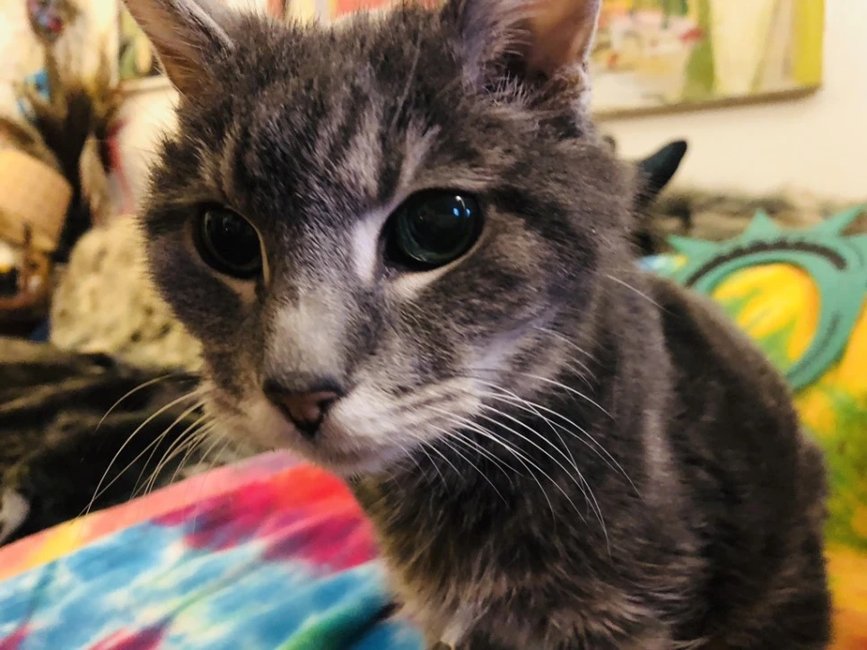 IMG_1588.jpg?type=w966